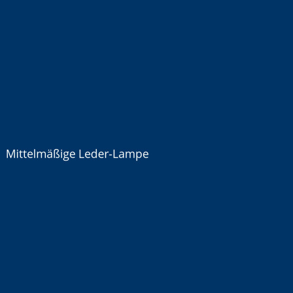 Mittelm&auml;&szlig;ige Leder-Lampe